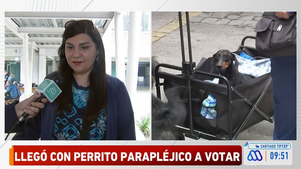 La historia del perrito paraplejico que acompañó a su dueña a votar en Providencia