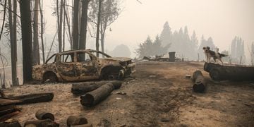 SANTA JUANA: Bomberos trabajan en incendios de la zona