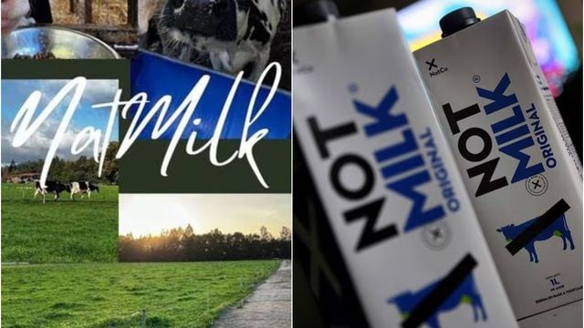 El conflicto entre un agricultor lechero de Renaico y la compañía NotCo por el registro de “NatMilk”