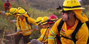 Declaran “Alerta Roja” para Concón y Viña del Mar por incendios forestales