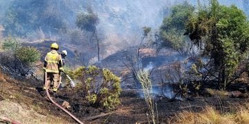 VALPARAISO: Incendio Forestal
