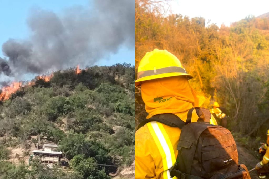 Nuevo balance por incendios en Marga Marga: hay 1.600 hectáreas quemadas entre Quilpué y Olmué