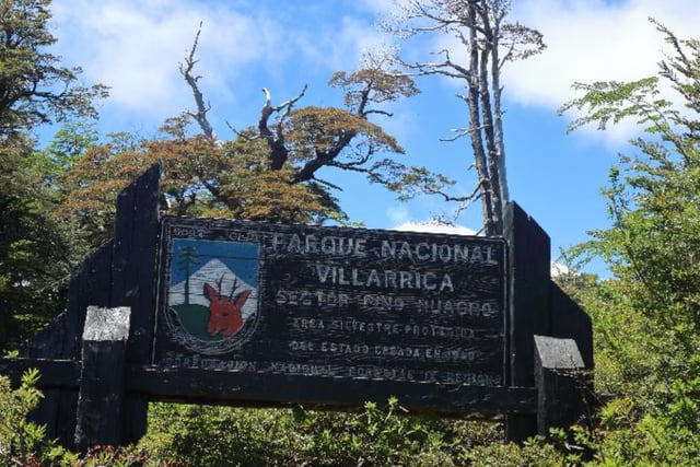 Declaran Alerta Roja en Pucón por incendio forestal en el Parque Nacional Villarrica