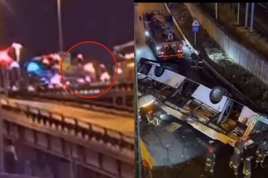 Tragedia en Venecia: bus cayó diez metros desde un puente y dejó 21 muertos