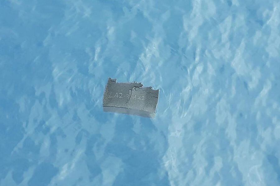 PUNTA ARENAS: Se encuentran restos de esponja en el mar