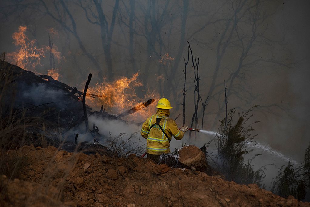 05 DE MAYO DE 2020/VALPARAISO
Bombero combate llamas durante incendio forestal en cuesta balmaceda que amenaza con propagarse de continuar hacia los cerros de la ciudad
FOTO: MIGUEL MOYA/AGENCIAUNO