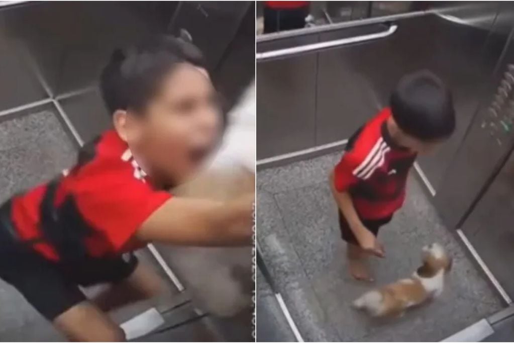 Niño héroe salvó a su perrita de morir atrapada en ascensor