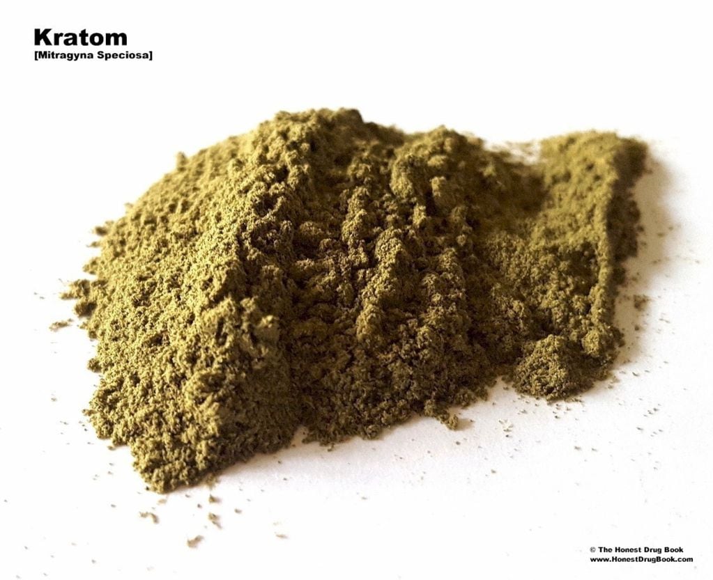 Estos son los efectos del Kratom, la nueva droga “altamente adictiva” que llegó a Chile