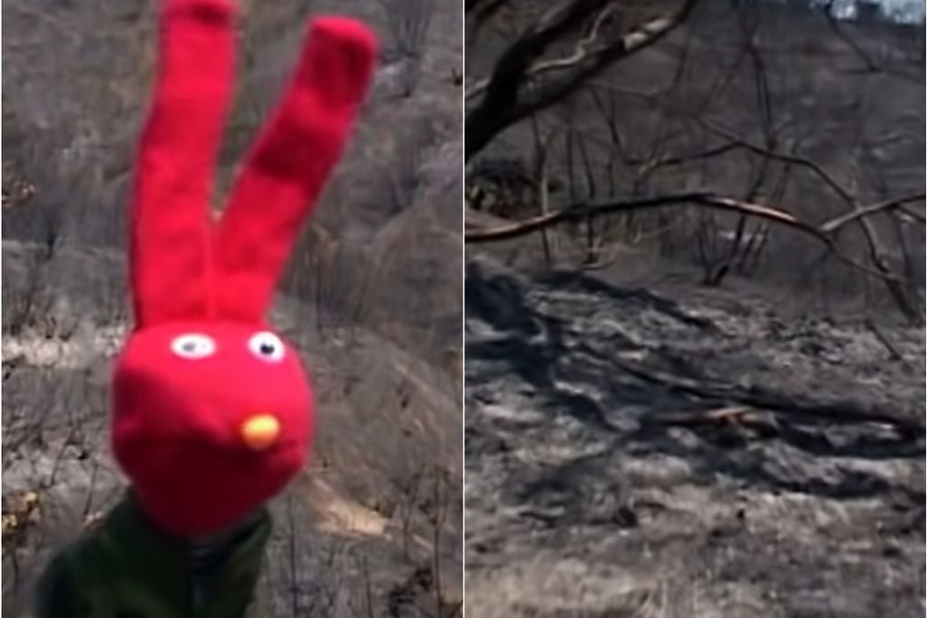 “Qué poco aprendemos”: el video de 31 Minutos que anticipó el incendio en el Jardín Botánico