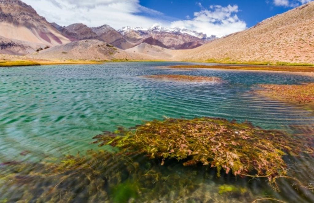 Un paisaje del Altiplano. FOTO: Jean Paul De La Harpe