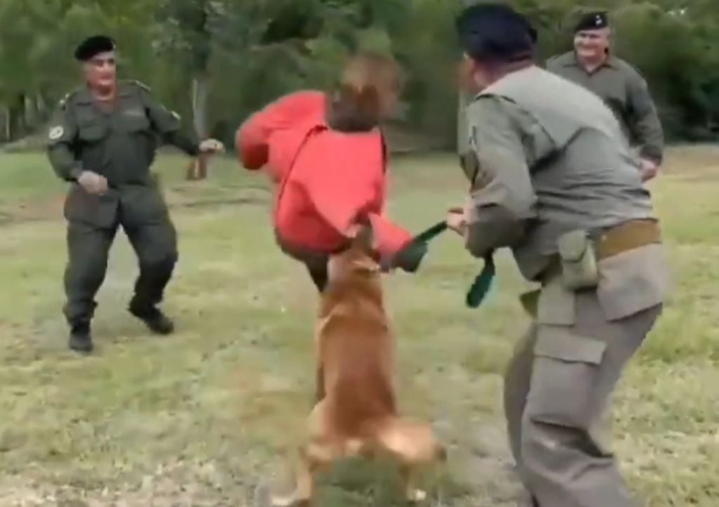 Ministra de Milei es atacada por un perro de seguridad en una demostración de Gendarmería