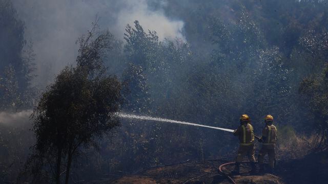 Incendio forestal en Melosilla