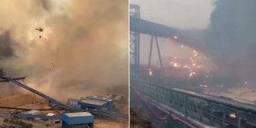 Incendio forestal llega a Celulosa Nueva Aldea en Quillón