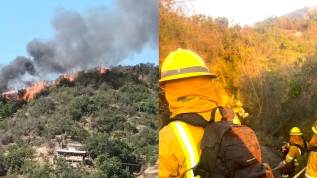 Nuevo balance por incendios en Marga Marga: hay 1.600 hectáreas quemadas entre Quilpué y Olmué