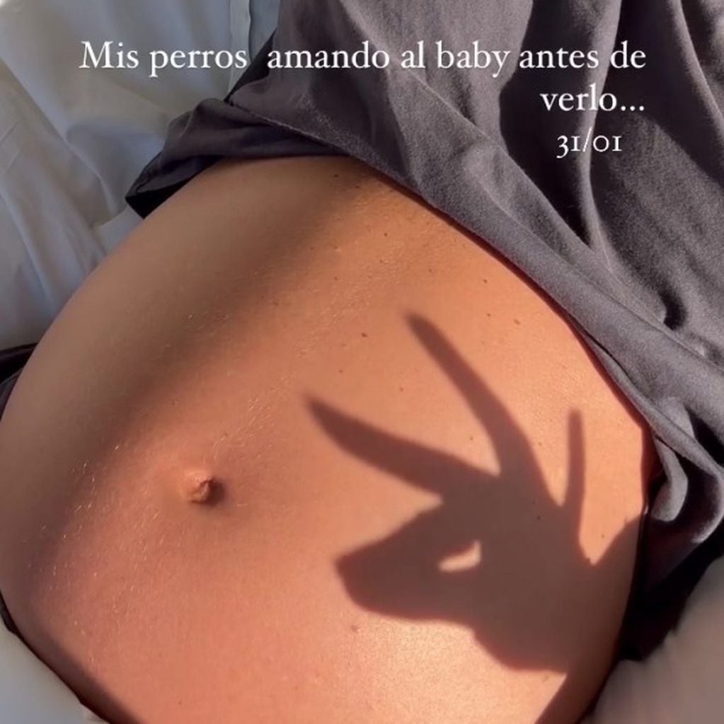 Soledad Onetto compartió otra imagen ante inminente parto. Captura de Meganoticias