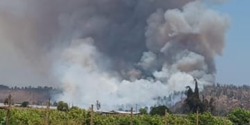 Declaran Alerta Roja en la comuna de Papudo por incendio forestal