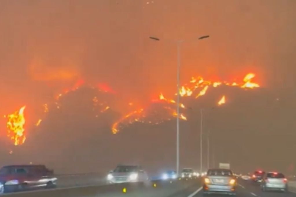Los incendios forestales siguen causando estragos en la zona centro del país.
