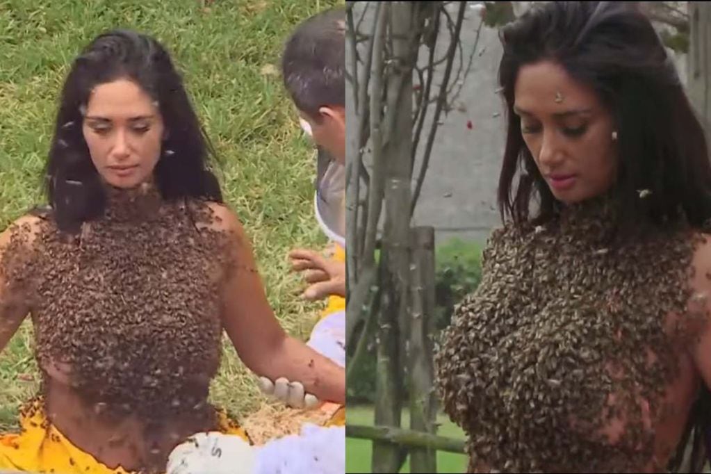 Pamela Díaz soportó cerca de 30 mil abejas en su cuerpo.