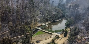 Falleció trabajador del Jardín Botánico de Viña tras graves quemaduras por incendios