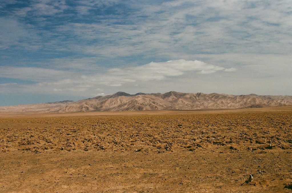 El desierto cerca de Antofagasta debería esconder varios nidos de golondrina.