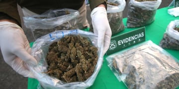 Banda de traficantes fue desbaratada en Macul: fuerte olor a marihuana los delató