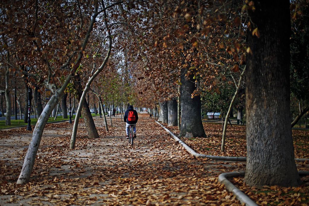 ¿Cuándo termina el verano y empieza el otoño en Chile? Foto: Agencia Uno.