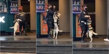Policía jugando con perrito