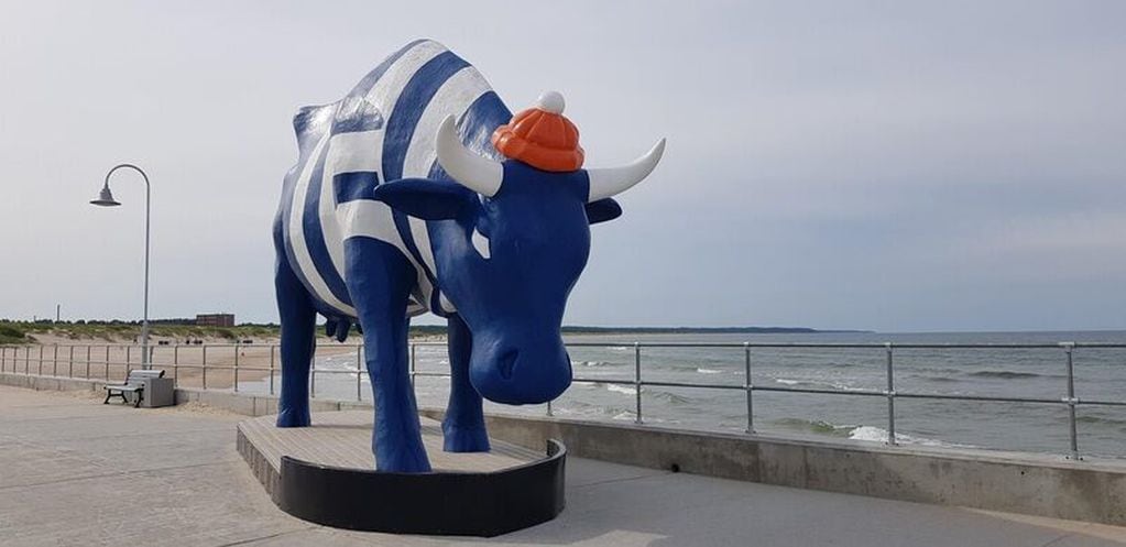 Debido a su particular característica en Letonia se pueden observar distintas estatuas en honor a la raza de vacas.