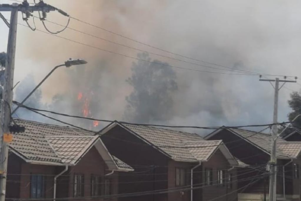 Senapred declaró Alerta Roja para Villa Alemana tras incendio forestal