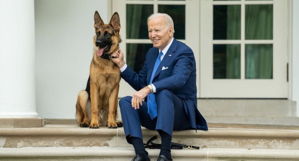 Se portó pésimo: por qué el perro de Joe Biden fue expulsado de la Casa Blanca 