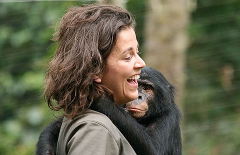 Isabel Behncke cargando a un bonobo de un centro de rehabilitación en la capital Kinshasa.