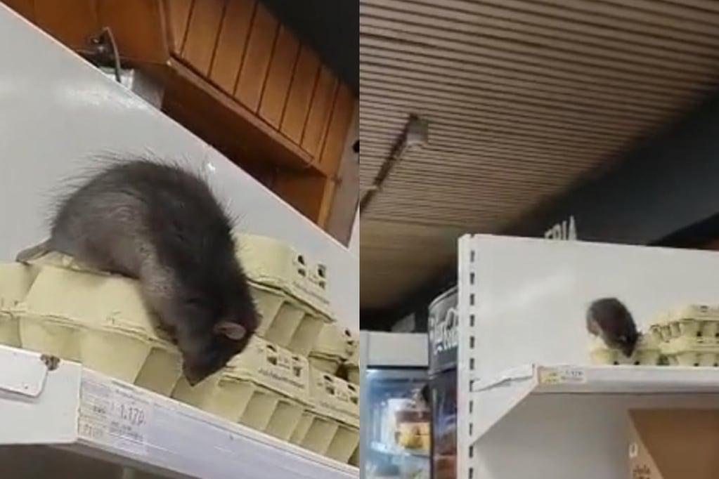 Usuarios quedaron impactados tras encontrar un ratón en un supermercado