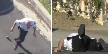 Abejas atacan a un policía en EEUU