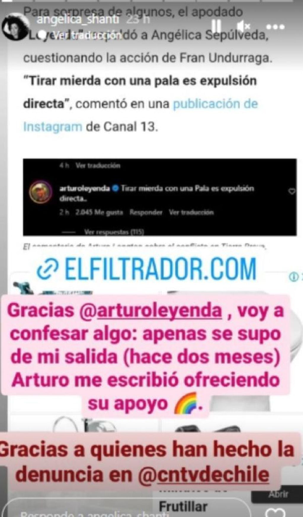 Arturo Longton reacciona ante pelea de Fran Undurraga y Angélica Sepúlveda