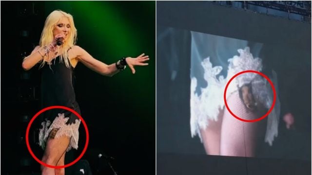 Telonera de AC/DC fue mordida por murciélago en pleno show: Taylor Momsen necesitará vacunas contra la rabia