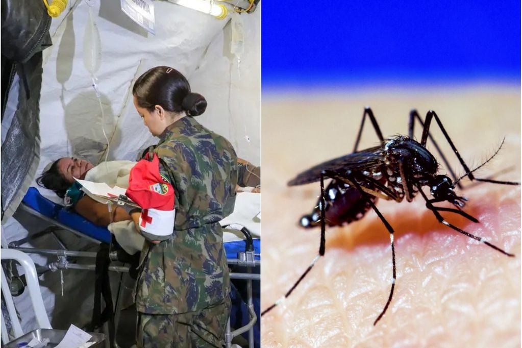 Qué significa que estemos bajo una alerta sanitaria preventiva por el mosquito del dengue