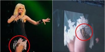 Telonera de AC/DC fue mordida por murciélago en pleno show: Taylor Momsen necesitará vacunas contra la rabia