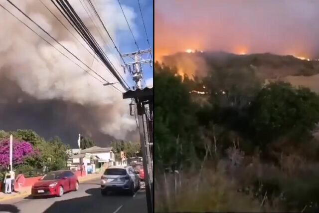 Senapred declaró Alerta Roja” en comuna de Navidad por incendio forestal