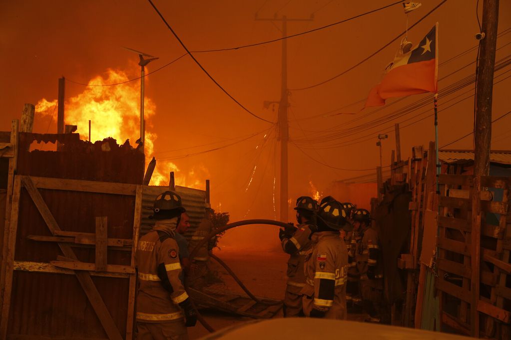 “Un ejemplo a seguir”: cómo el barrio Botania sobrevivió los graves incendios. Foto: Agencia Uno