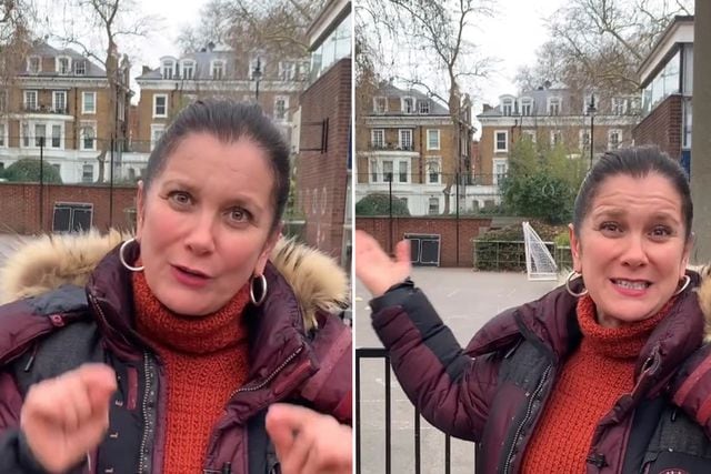 VIDEO Mirna Schlinder muestra un colegio público de Londres