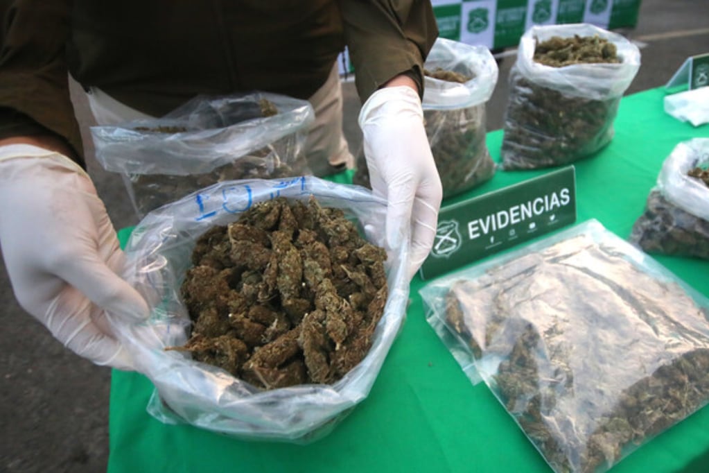 Banda de traficantes fue desbaratada en Macul: fuerte olor a marihuana los delató. Imagen referencial Aton.