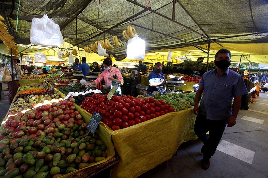 Gobierno investigará posible colusión de precios de verduras y hortalizas
FOTO: AILEN DIAZ/AGENCIAUNO