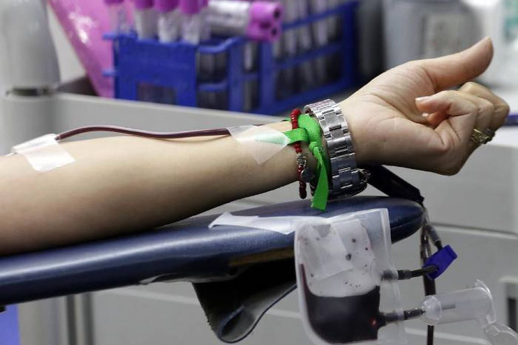 Realizan llamado para convertirse en donante de sangre ¿Dónde y cómo hacerlo?