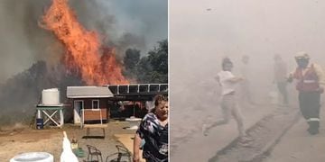 Alarma en Arauco por incendio forestal