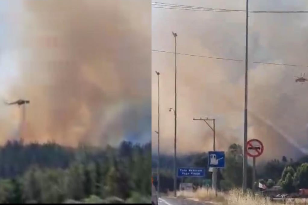 Gran incendio forestal afecta al límite entre Florida y Quillón