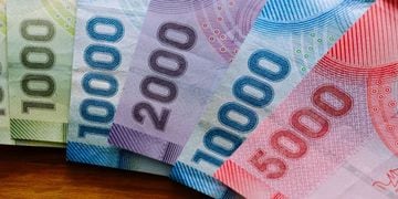 Senado aprobó aporte extra de 60 mil pesos a los beneficiarios de Bono Invierno