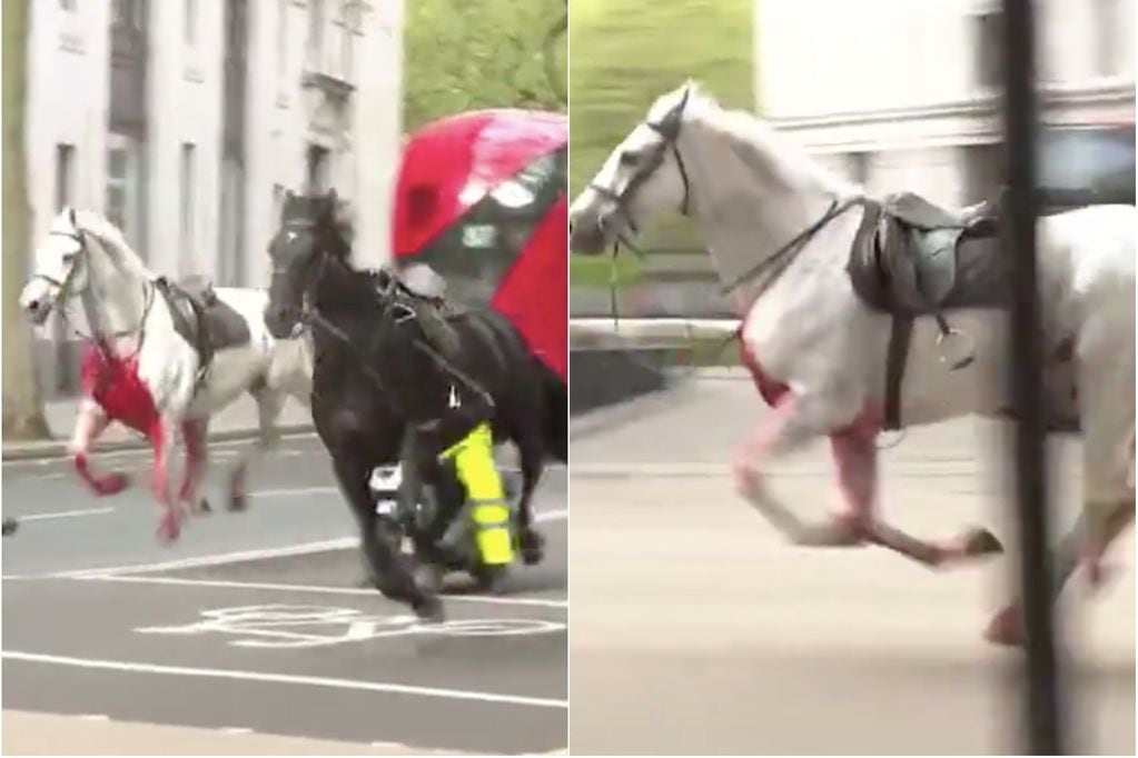 Caótica escena: caballos del ejército británico se escaparon y corrieron por el centro de Londres.