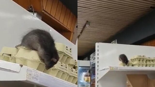 Usuarios quedaron impactados tras encontrar un ratón en un supermercado