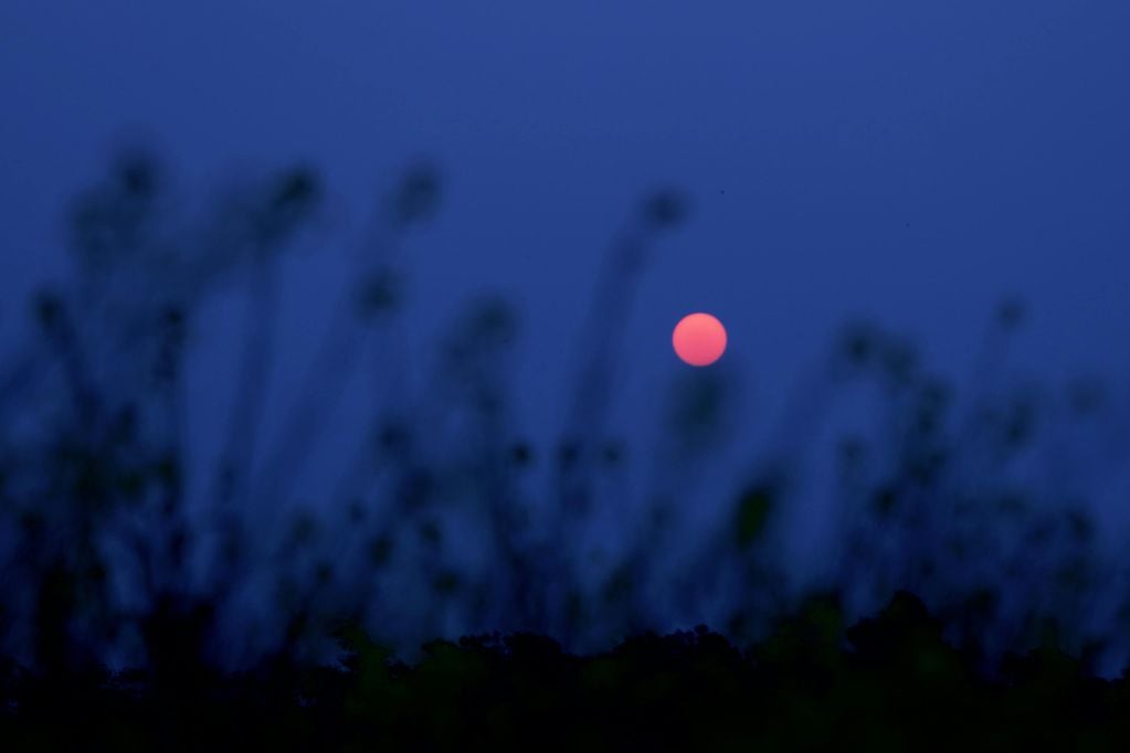 ¿Qué es la Luna Rosa y cuándo se podrá ver en Chile? Foto referencial Pexels.