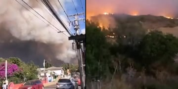 Senapred declaró Alerta Roja” en comuna de Navidad por incendio forestal